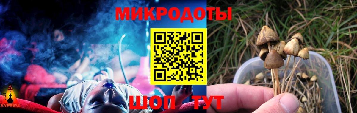 Чита  Галлюциногенные грибы Psilocybe  Вход с VPN 